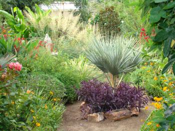 Image of master gardener